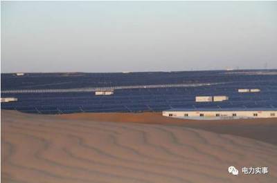 世界最大太陽能電站并非死亡禁區，風能發電同樣面臨生態挑戰